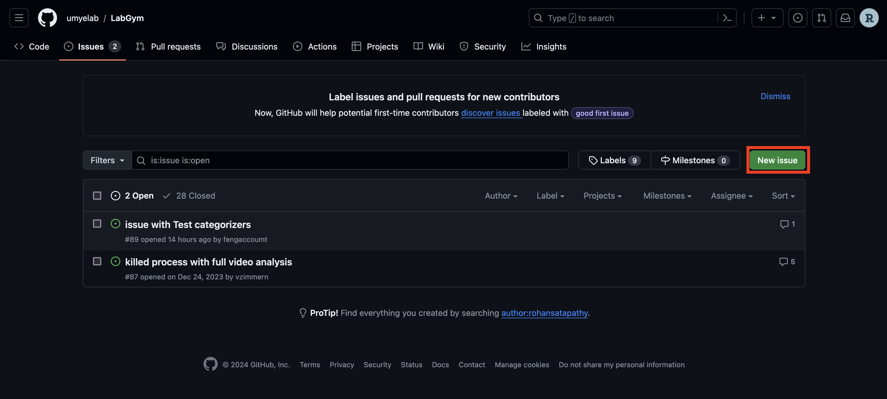 GitHub New Issue Screenshot